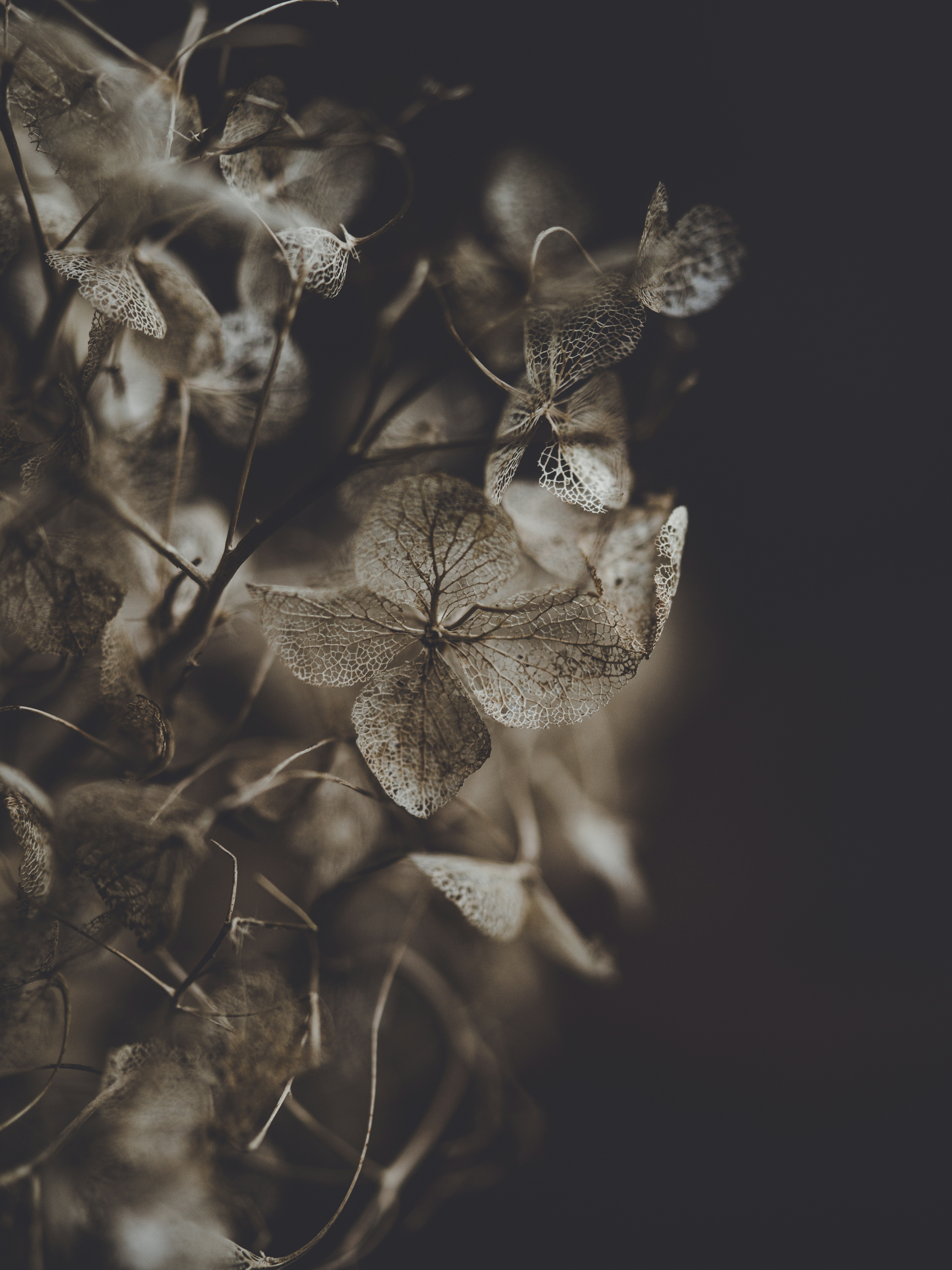 Photo by anniespratt