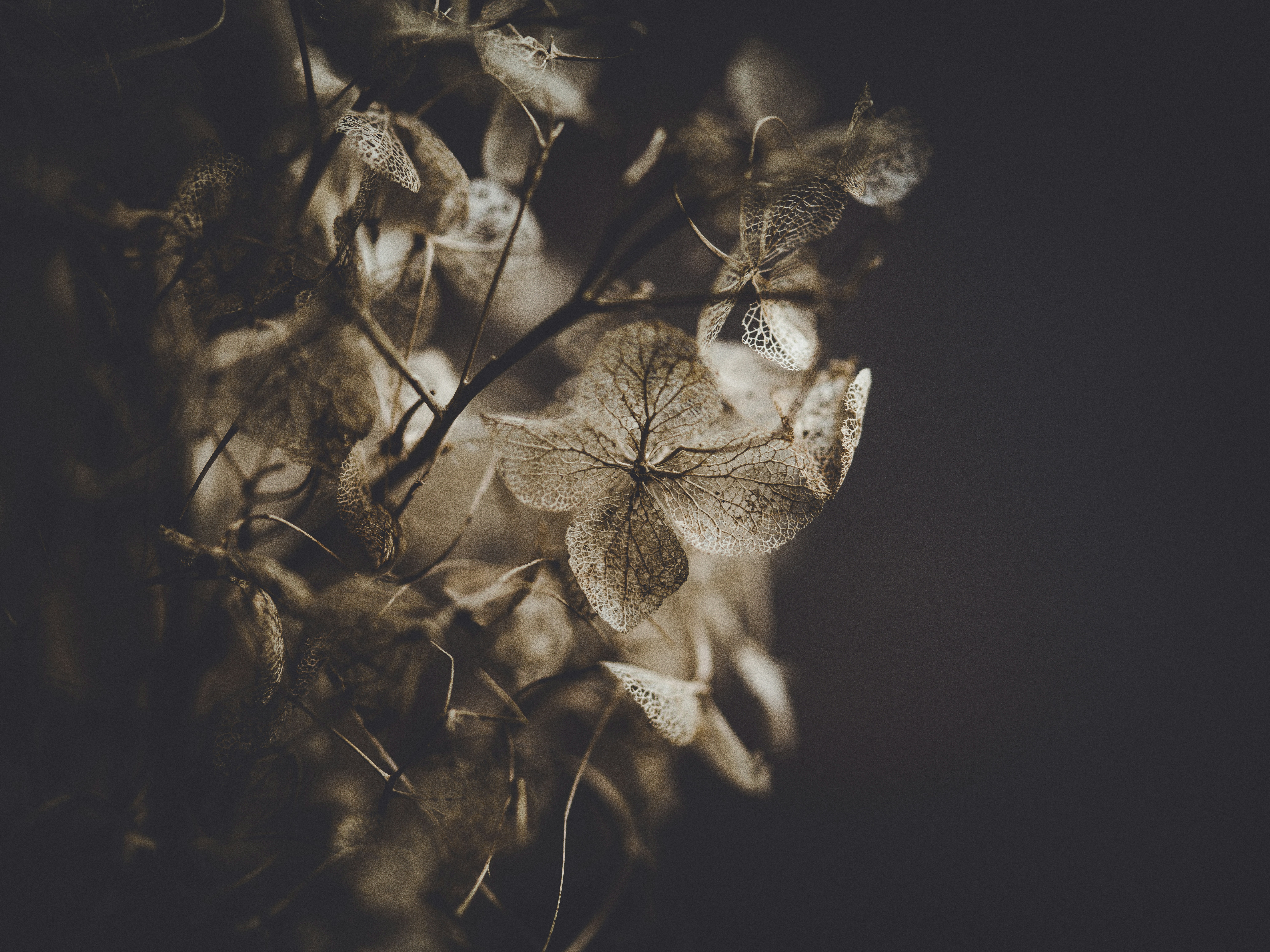 Photo by anniespratt