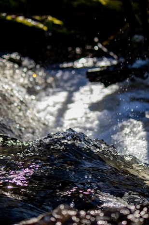 A close-up of gold flakes sparkling in a riverbed under natural sunlight.