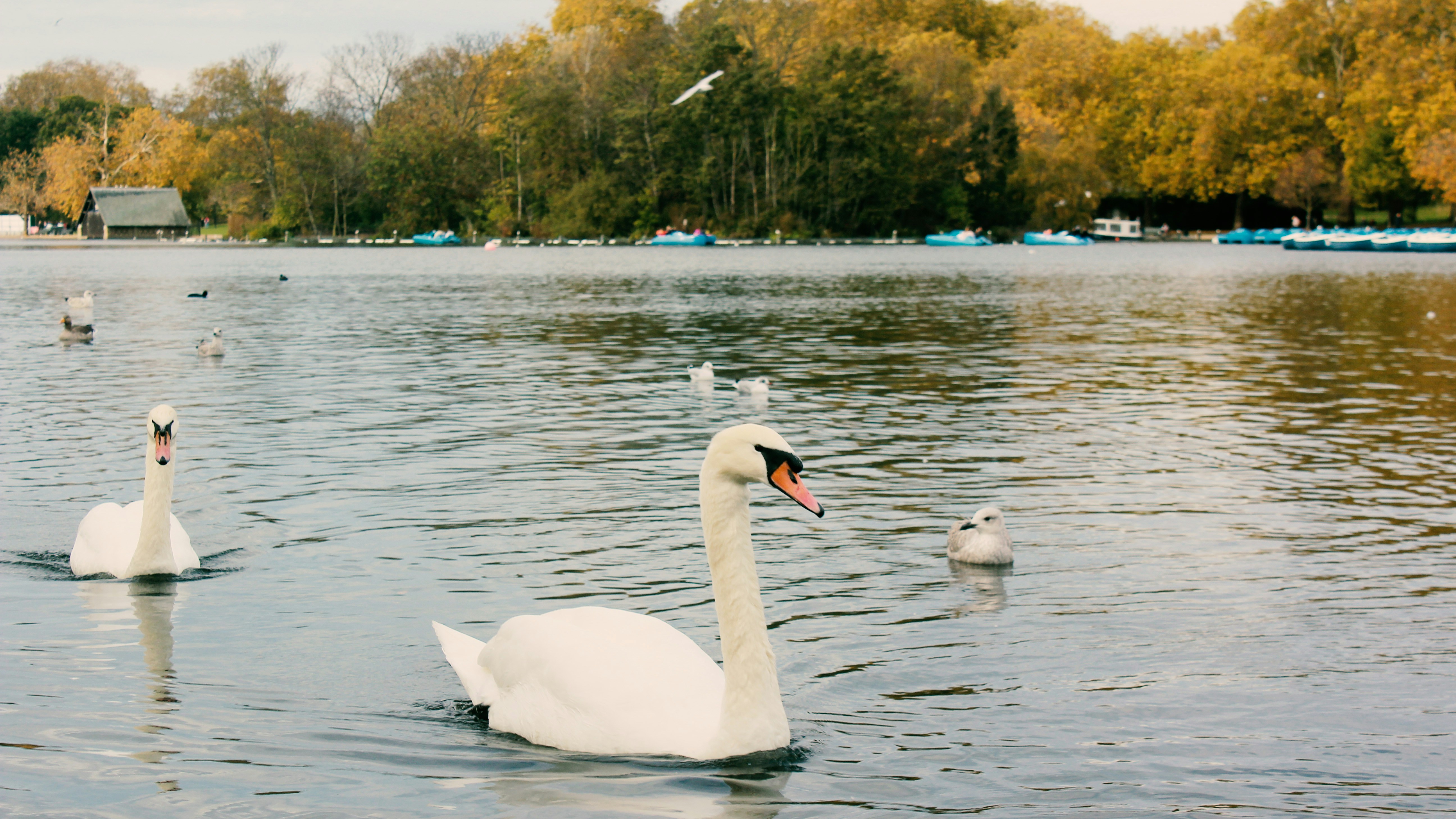 Photo by sakamotomari