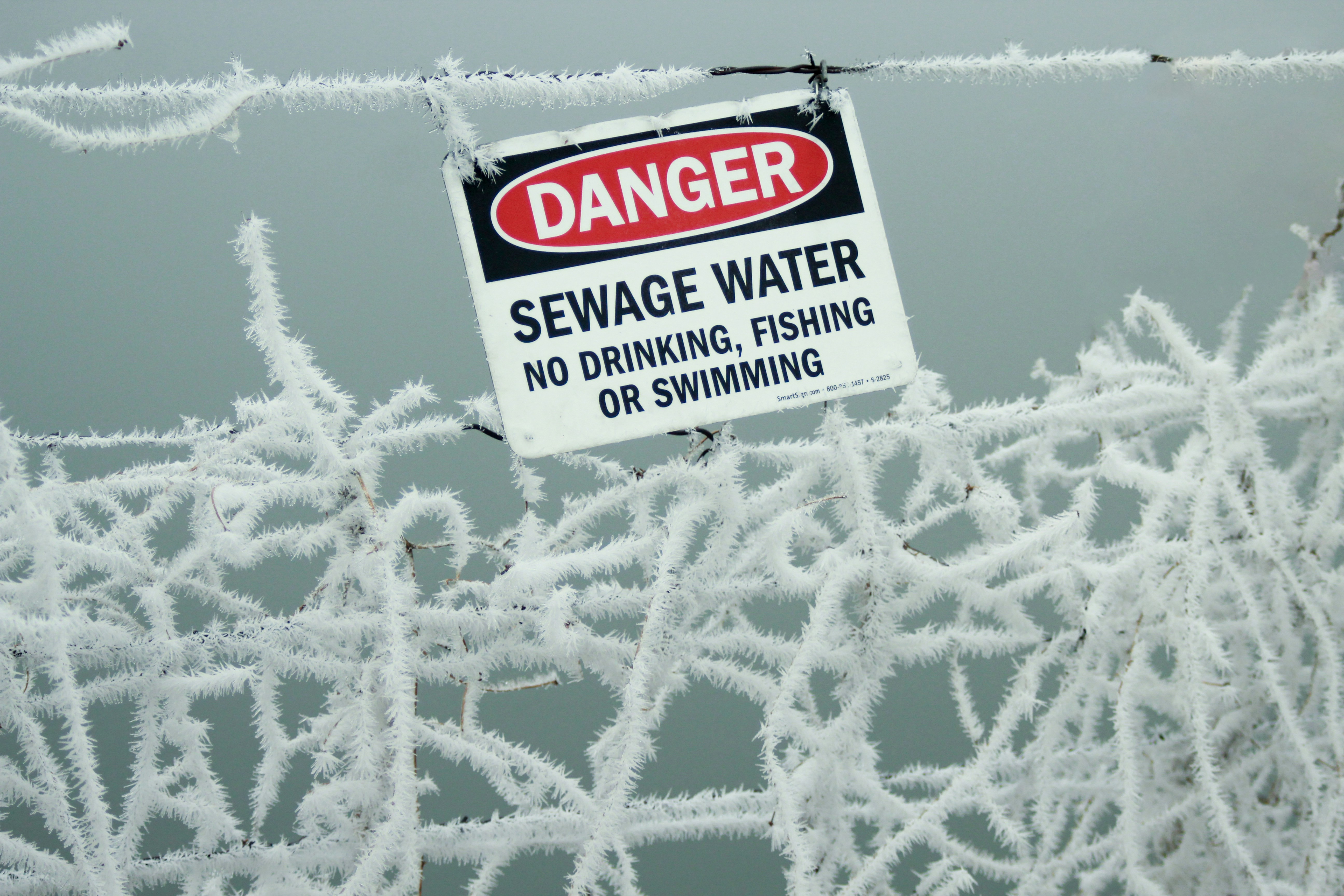 Sewer Setbacks and Gratitude: A Lesson in the Law of Relativity