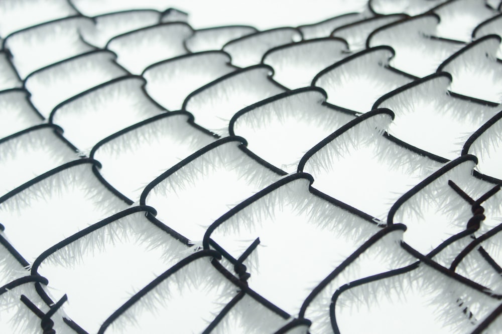 black and white chain link fence