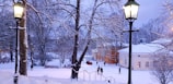 A warm scene of a senior couple enjoying a snowy Canadian park with maple leaves falling.