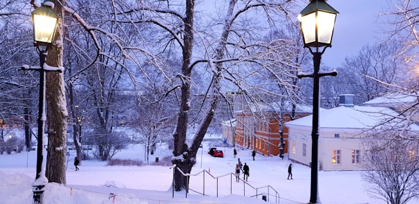 A warm scene of a senior couple enjoying a snowy Canadian park with maple leaves around.