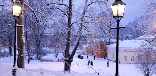 A warm scene of a senior couple enjoying a snowy Canadian park with maple leaves falling.