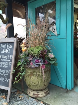 A large, ornate planter is filled with vibrant plants, including ornamental cabbages and tall grasses, placed next to a teal-colored wooden door. A blackboard with white handwriting displays prices for mums. The setting appears to be outside a shop or greenhouse.