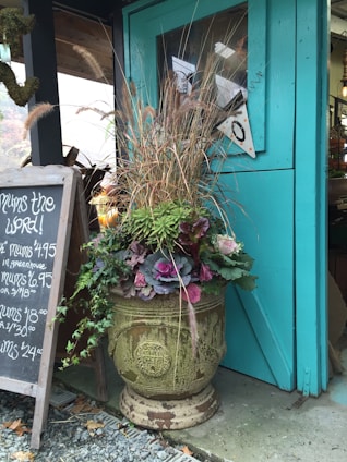 A large, ornate planter is filled with vibrant plants, including ornamental cabbages and tall grasses, placed next to a teal-colored wooden door. A blackboard with white handwriting displays prices for mums. The setting appears to be outside a shop or greenhouse.