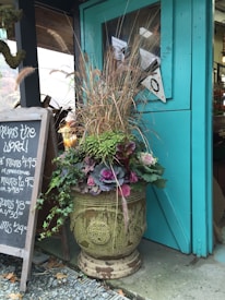 A large, ornate planter is filled with vibrant plants, including ornamental cabbages and tall grasses, placed next to a teal-colored wooden door. A blackboard with white handwriting displays prices for mums. The setting appears to be outside a shop or greenhouse.
