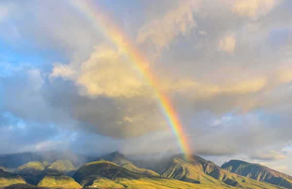 MAUI Sounds Amazing. Is It?