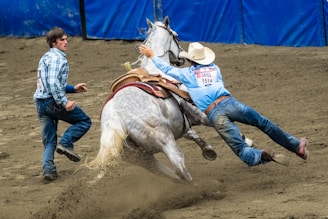 A rodeo event with a cowboy in a blue shirt and jeans trying to stay on a bucking white horse. Another man in a checked shirt is running nearby, possibly to assist. The arena ground is dirt, and there is a blue barrier in the background.
