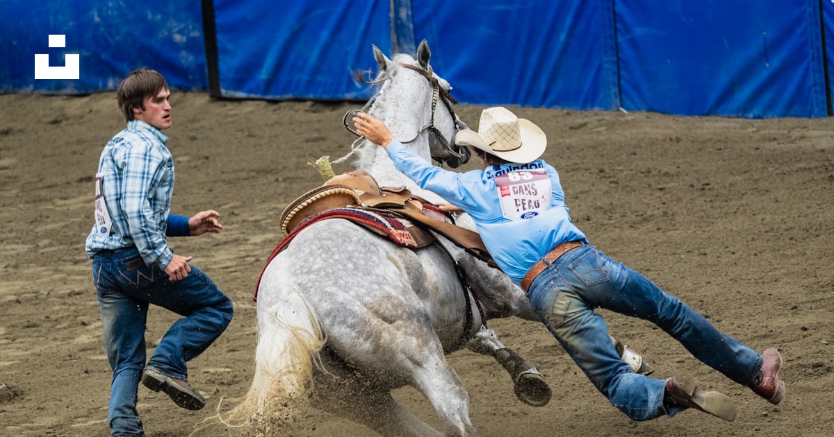 Cowboy falling on horse photo – Free Rodeo Image on Unsplash