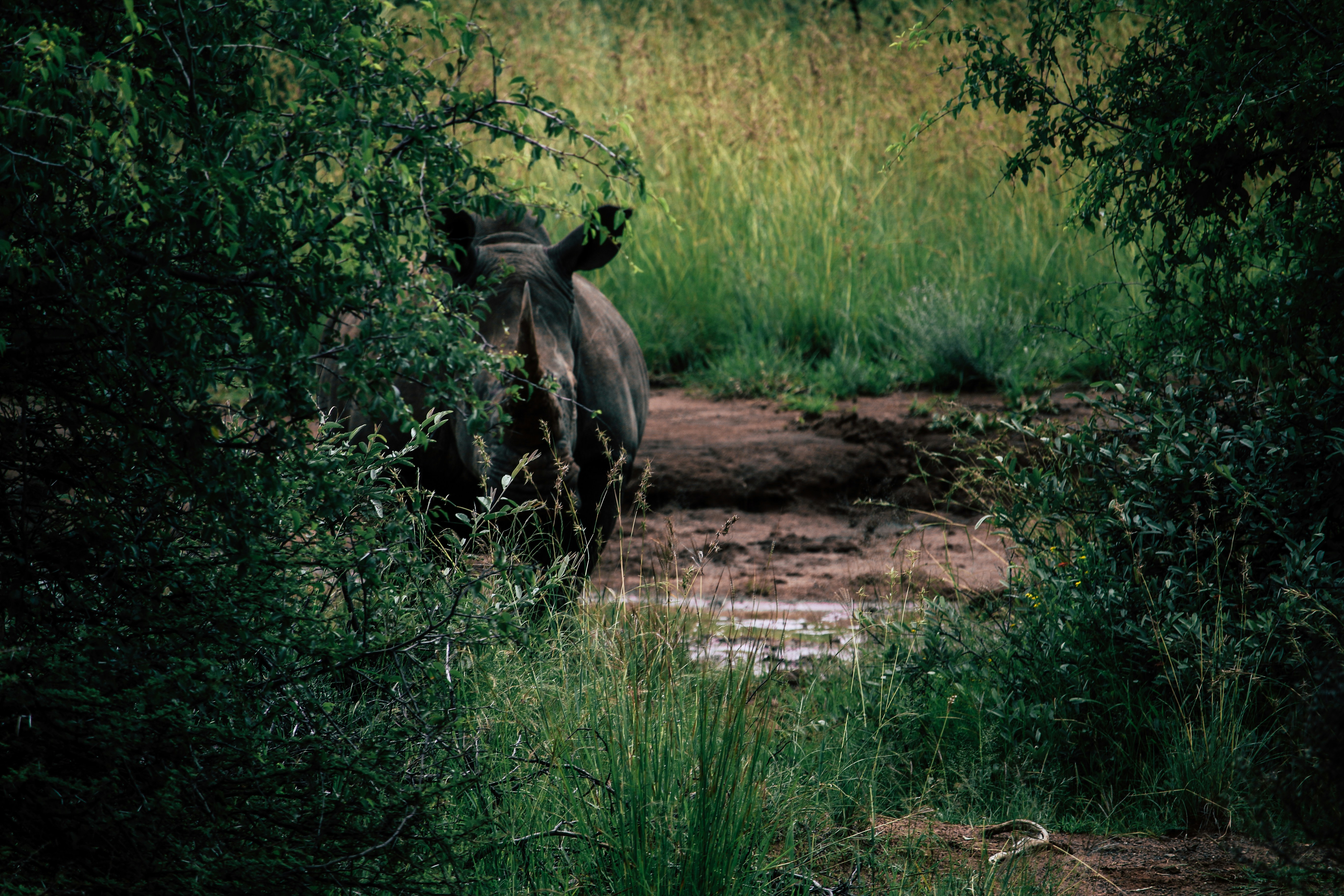 Photo by yassine_khalfalli