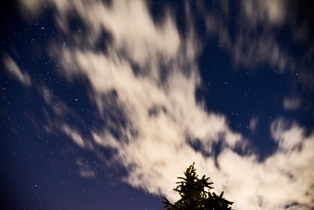 green tree over white clouds surrounded with stars