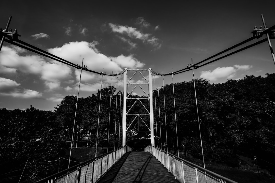 grayscale photo of bridge