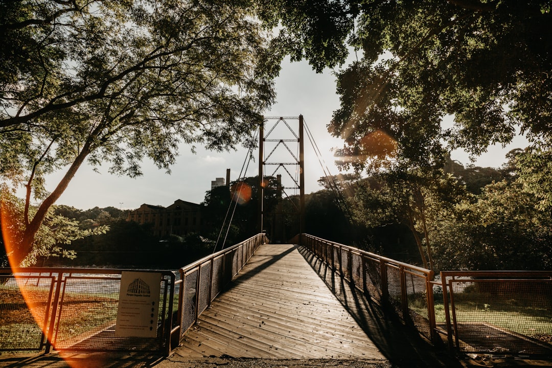 brown cable bridge