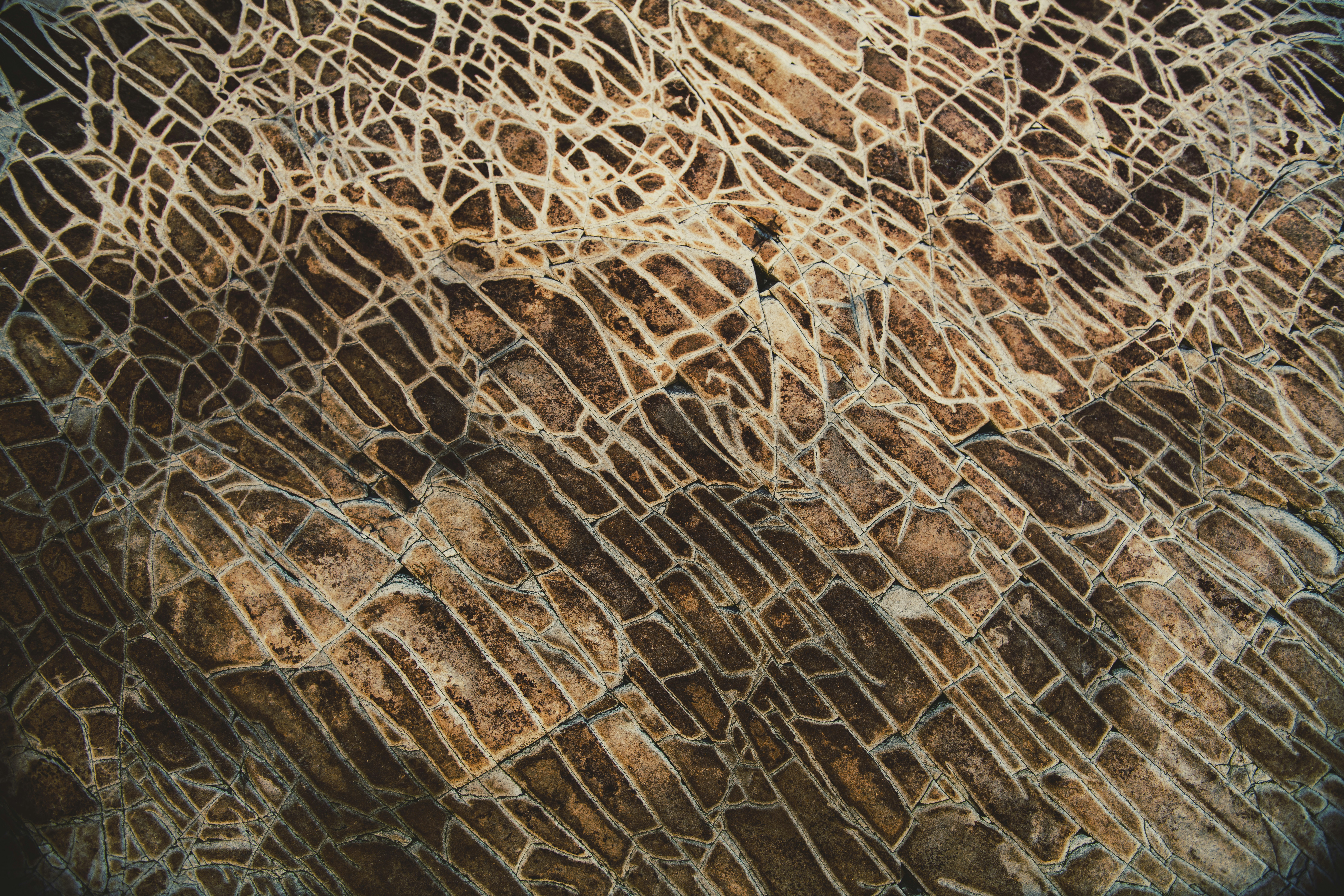 Photo by timmossholder