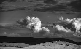 A pastoral landscape featuring dramatic, billowing clouds in a monochromatic setting. Hilly terrain with sparse foliage on the left gives way to a hillside where a herd of animals is scattered. A solitary figure appears to be attending to the animals.