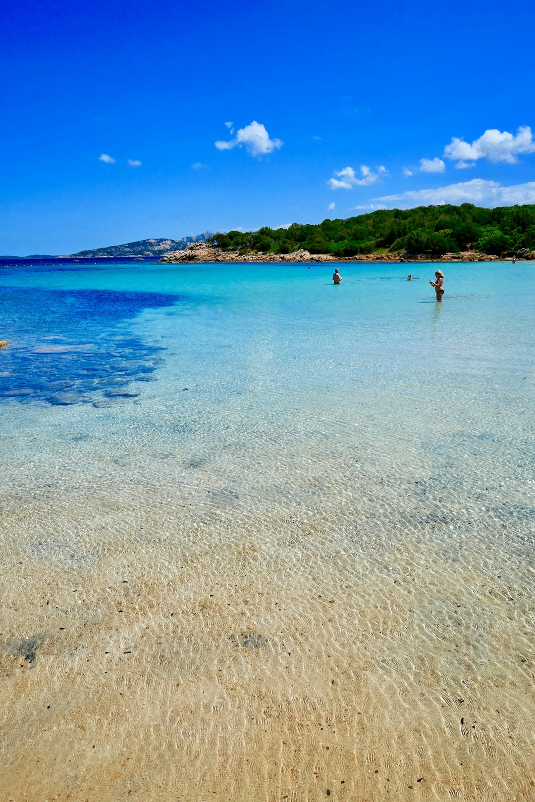 people swimming on body of water during daytime