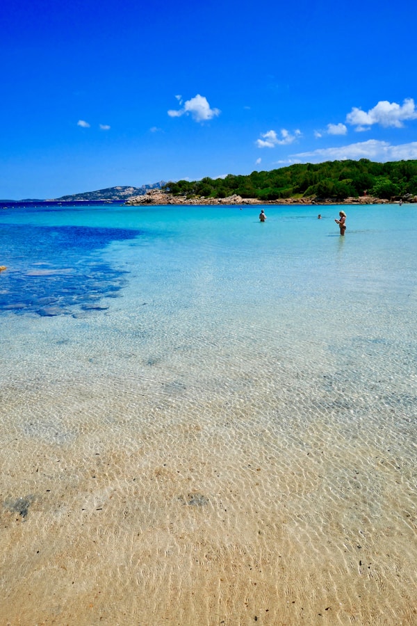 Palau Cultural Travel Guide: Exploring History & Festivals