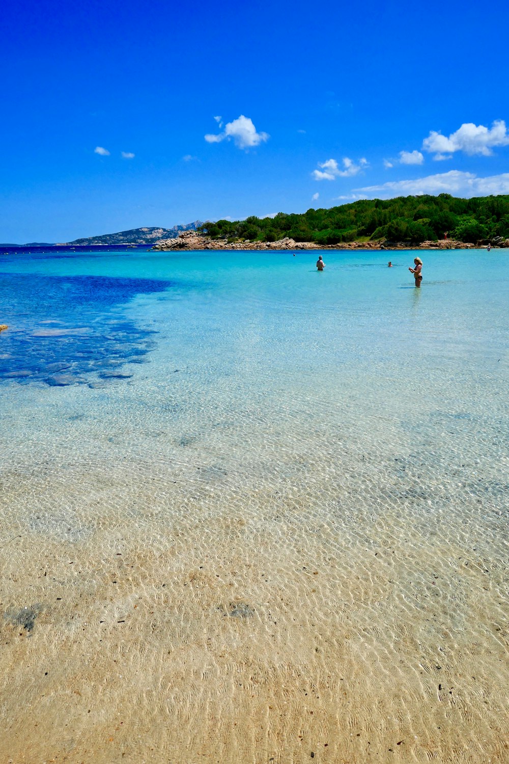 people swimming on body of water during daytime