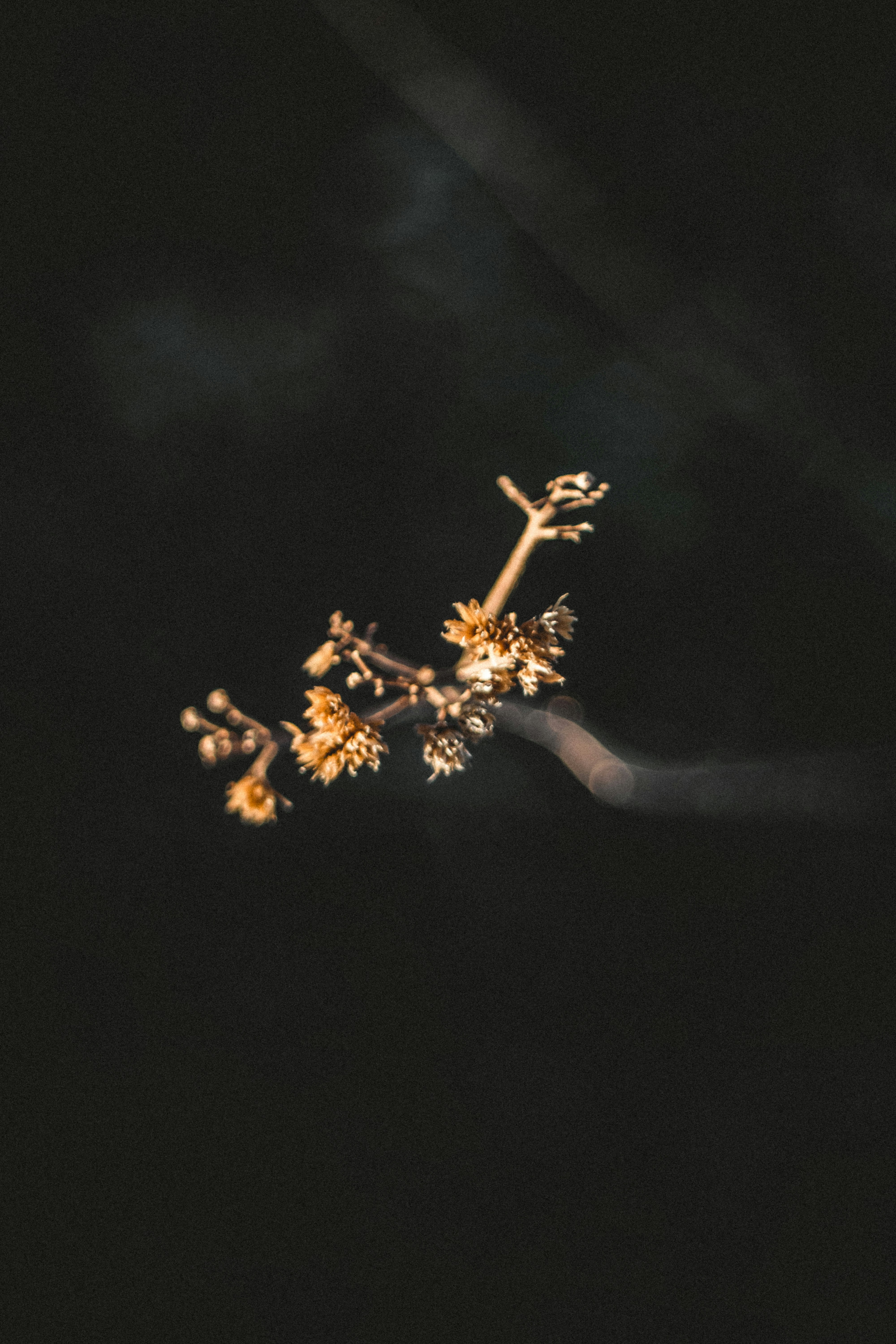 Photo by designfuchs