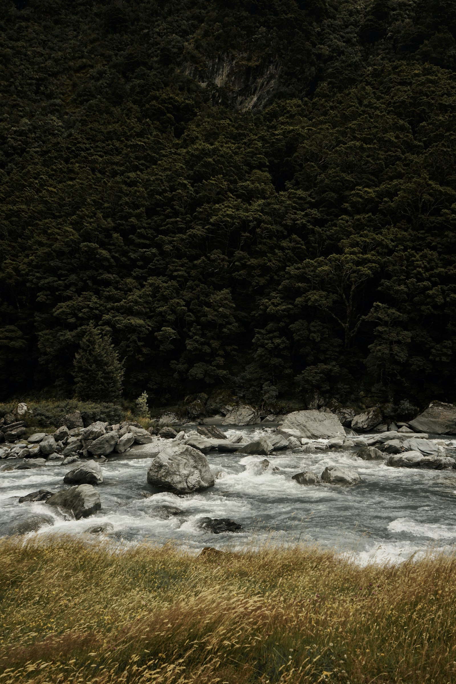 Sony a7 II + Sony FE 28-70mm F3.5-5.6 OSS sample photo. Rippling water near trees photography