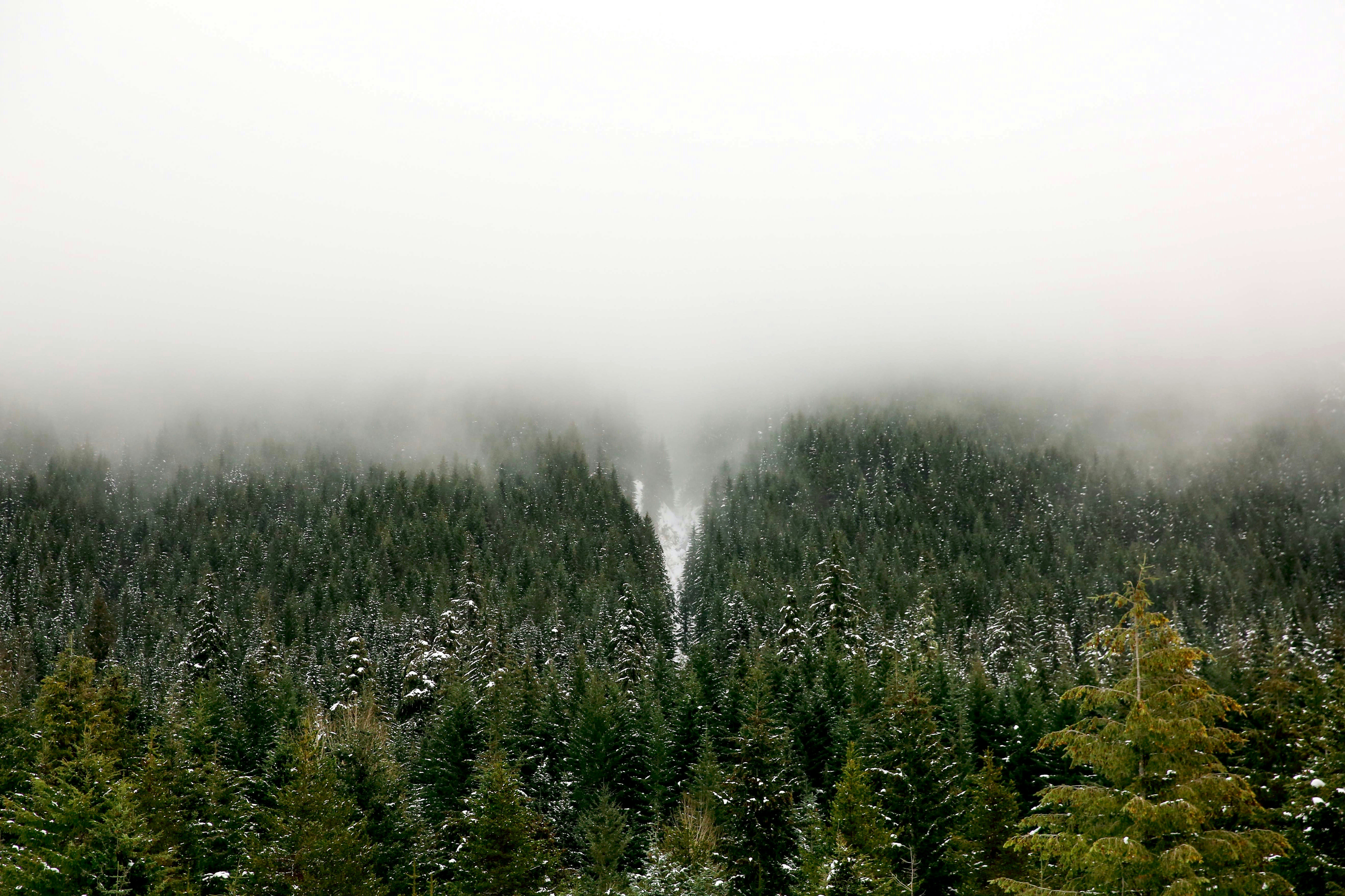 Photo by annasmith206