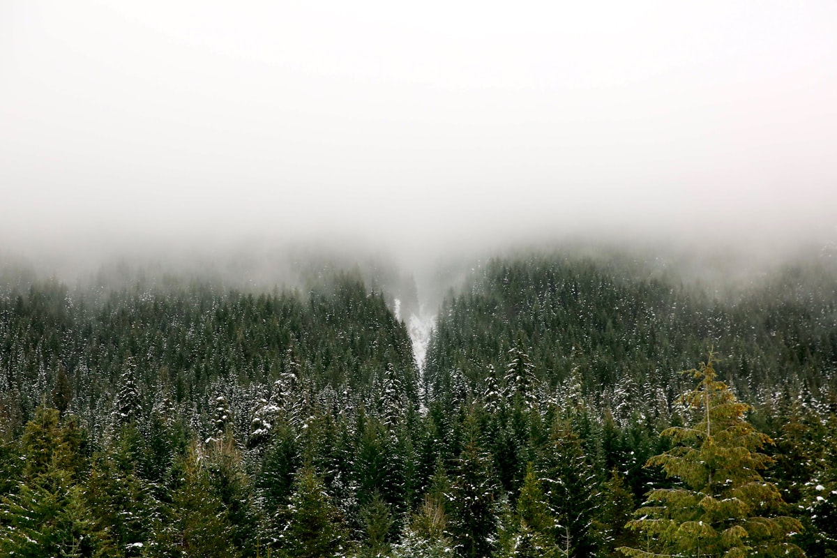 Centre-Val de Loire, la Sologne et les forets.