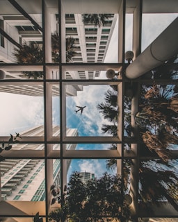 Stiberman Legal - Leasing Commercial Property in Florida