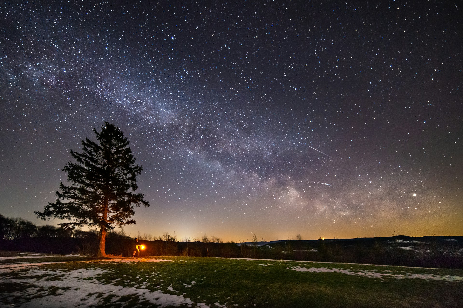 green leaf tree on open field under clear night sky