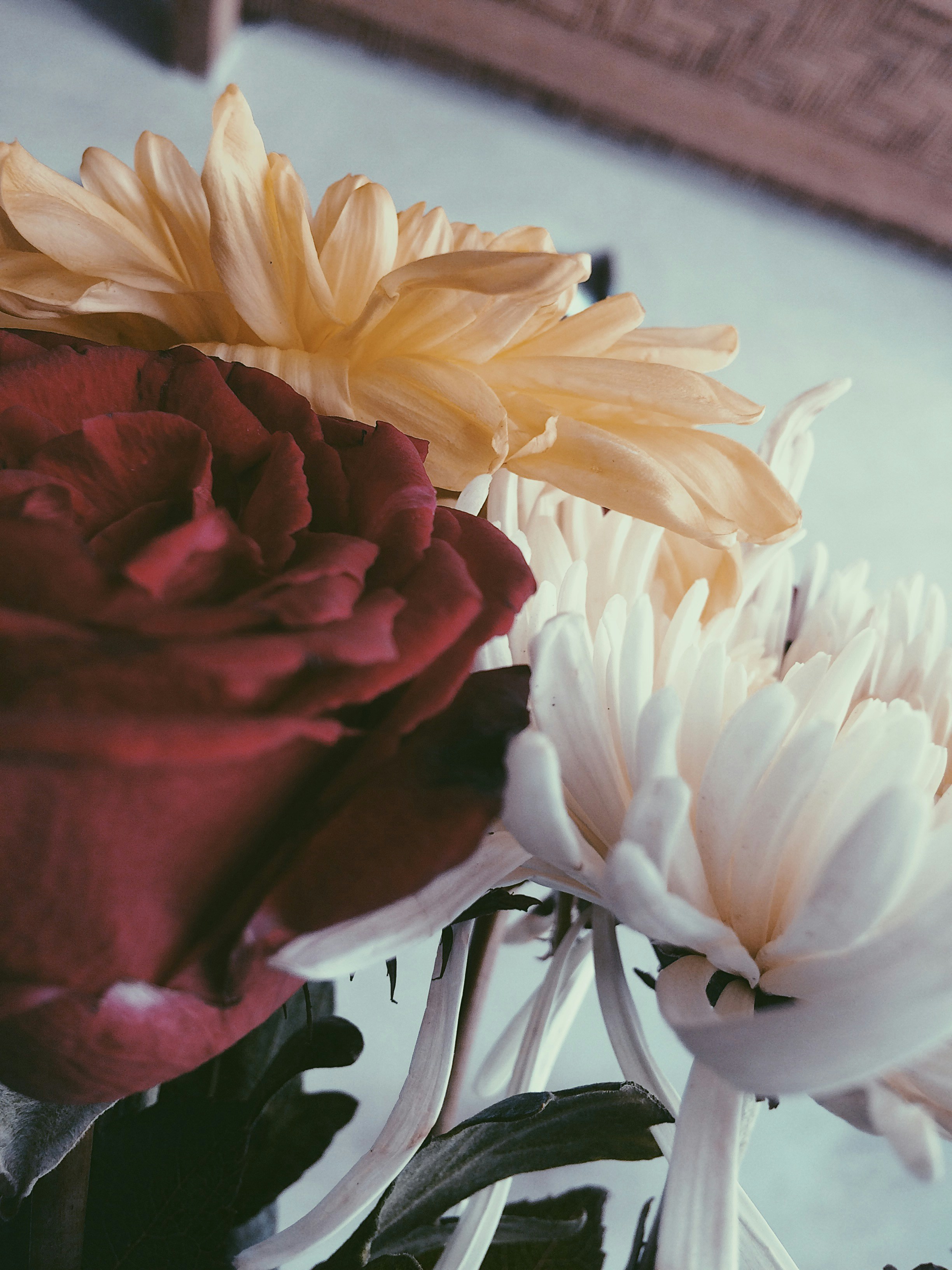 What Are Some Ways to Show Appreciation and Gratitude for the Girl I am Interested in Without Overwhelming Her?