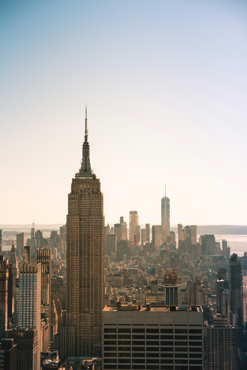 New York city buildings photo