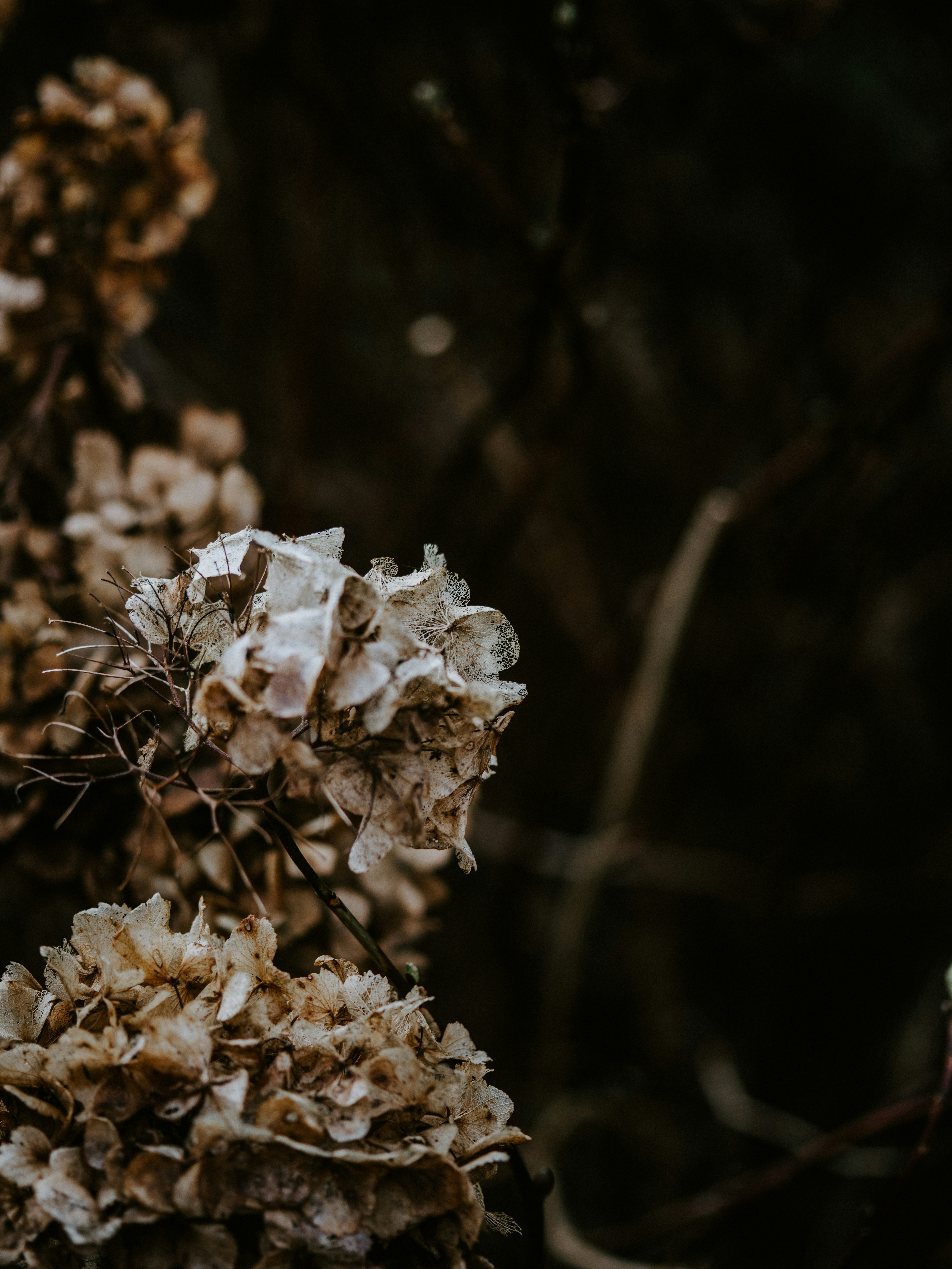 Photo by anniespratt