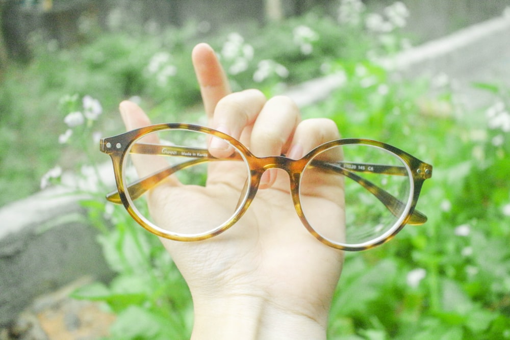 person holding tortoiseshell eyeglasses