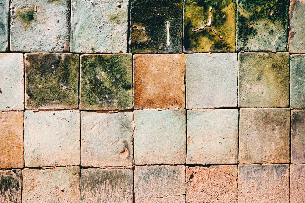 red and green wall tiles