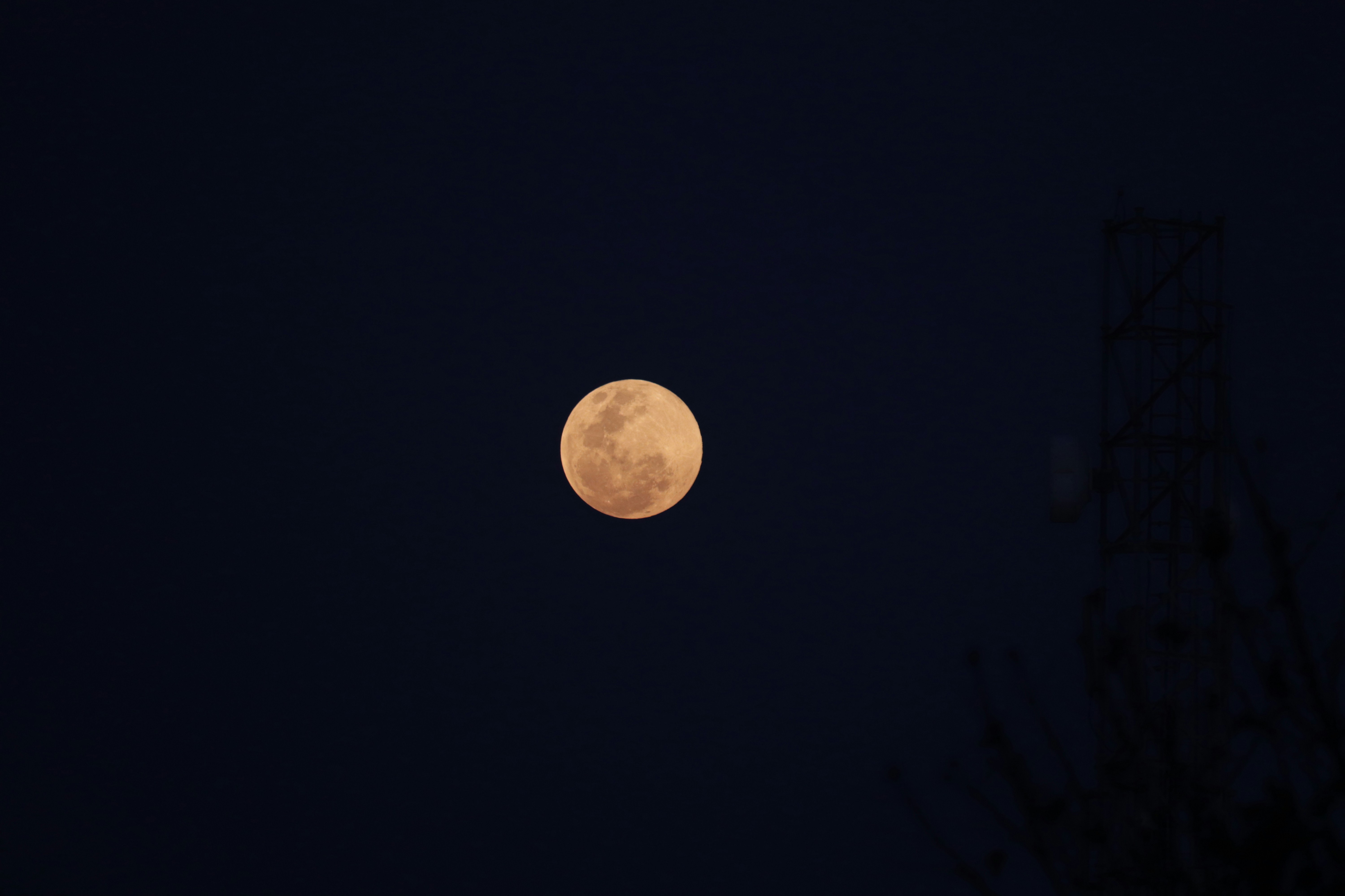 Photo by ashish_thakur