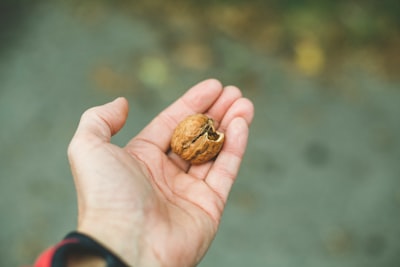 man holding brown nut nutty teams background