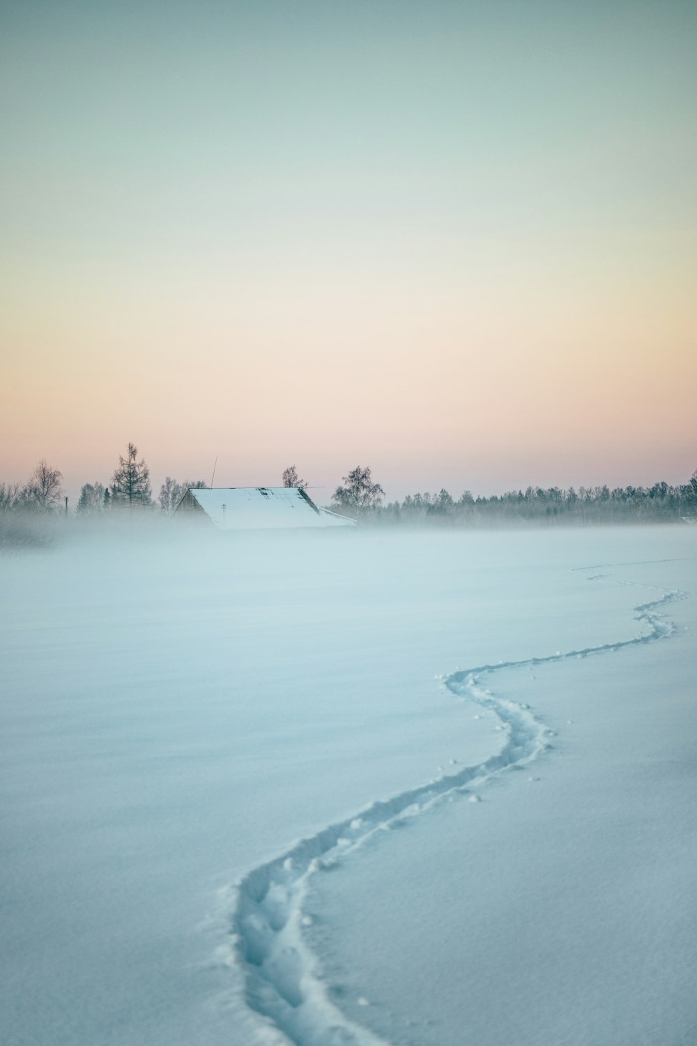 track on white snow
