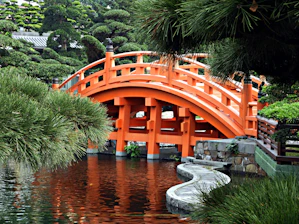 Visitors enjoying the famous Japanese bridge and water lilies in Monet's garden.