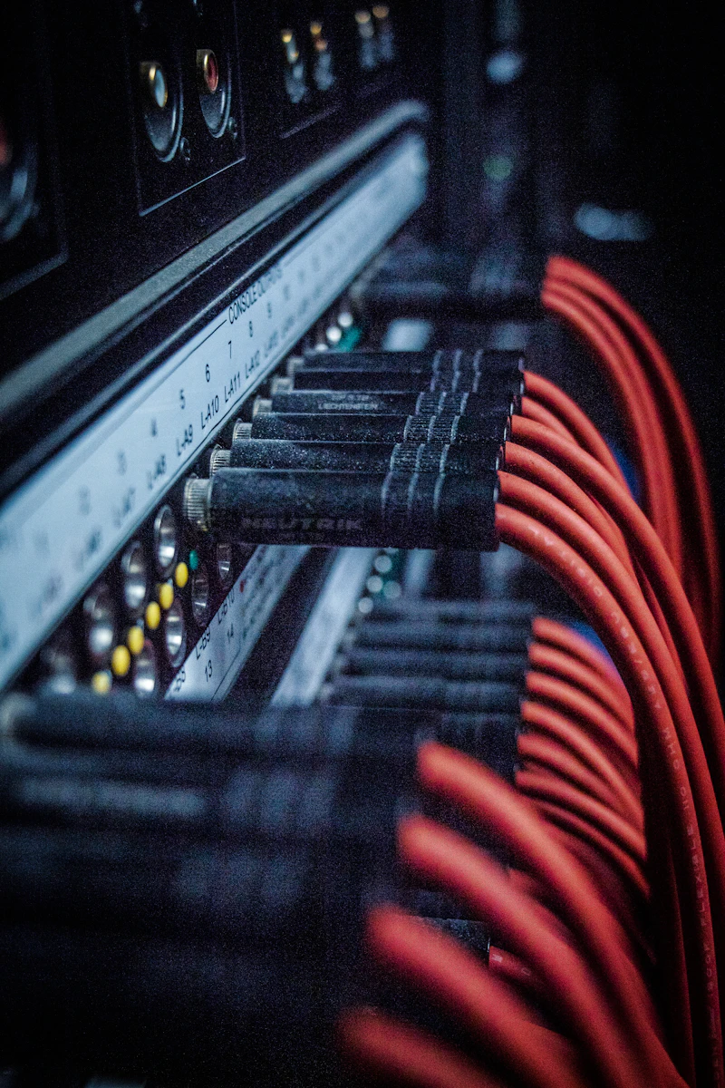 Red patch cables plugged into a network panel