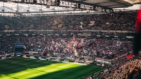 A packed sports stadium filled with enthusiastic fans waving flags and banners. The crowd is dense, showcasing a dynamic and lively atmosphere. Sunlight filters through the stadium roof, casting patterns on the green field below.