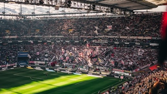 A packed sports stadium filled with enthusiastic fans waving flags and banners. The crowd is dense, showcasing a dynamic and lively atmosphere. Sunlight filters through the stadium roof, casting patterns on the green field below.