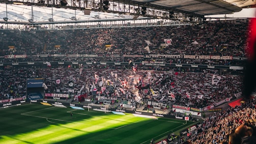 A packed sports stadium filled with enthusiastic fans waving flags and banners. The crowd is dense, showcasing a dynamic and lively atmosphere. Sunlight filters through the stadium roof, casting patterns on the green field below.