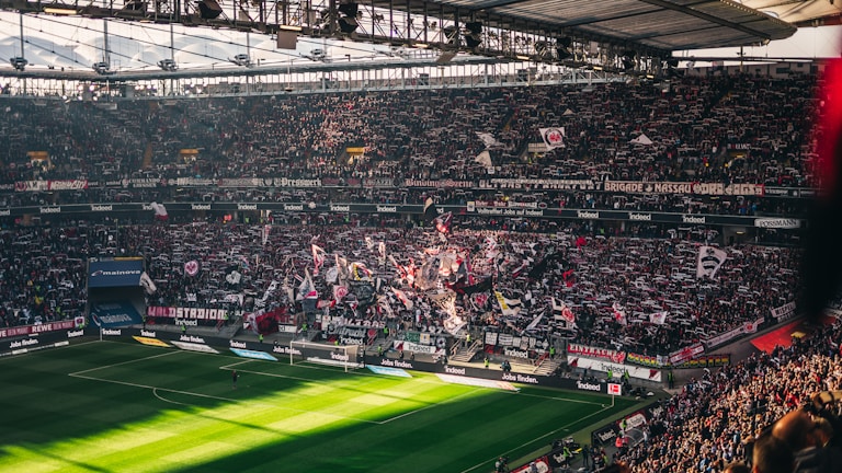 A panoramic view of a vibrant sports event crowd.