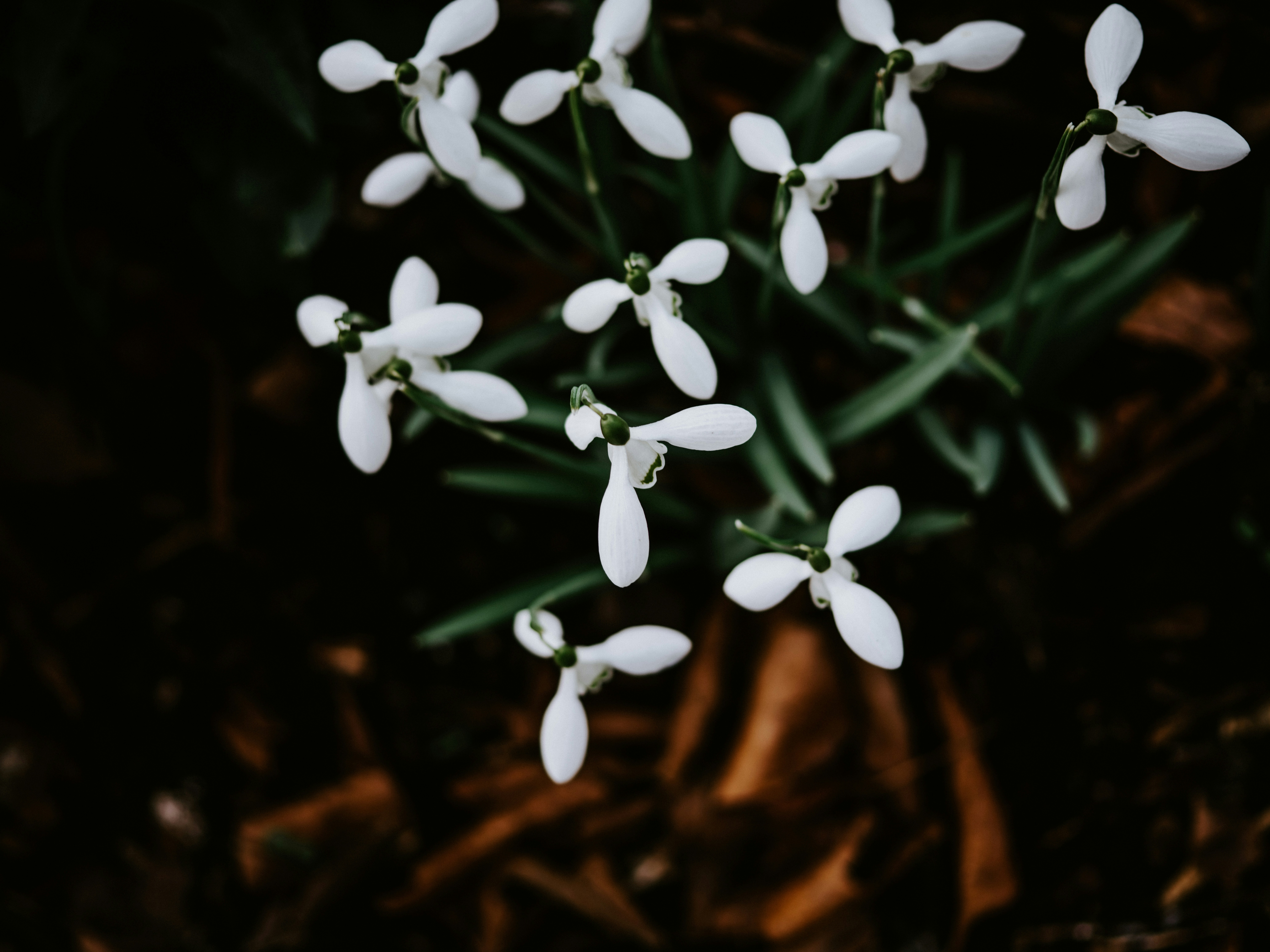 Photo by anniespratt