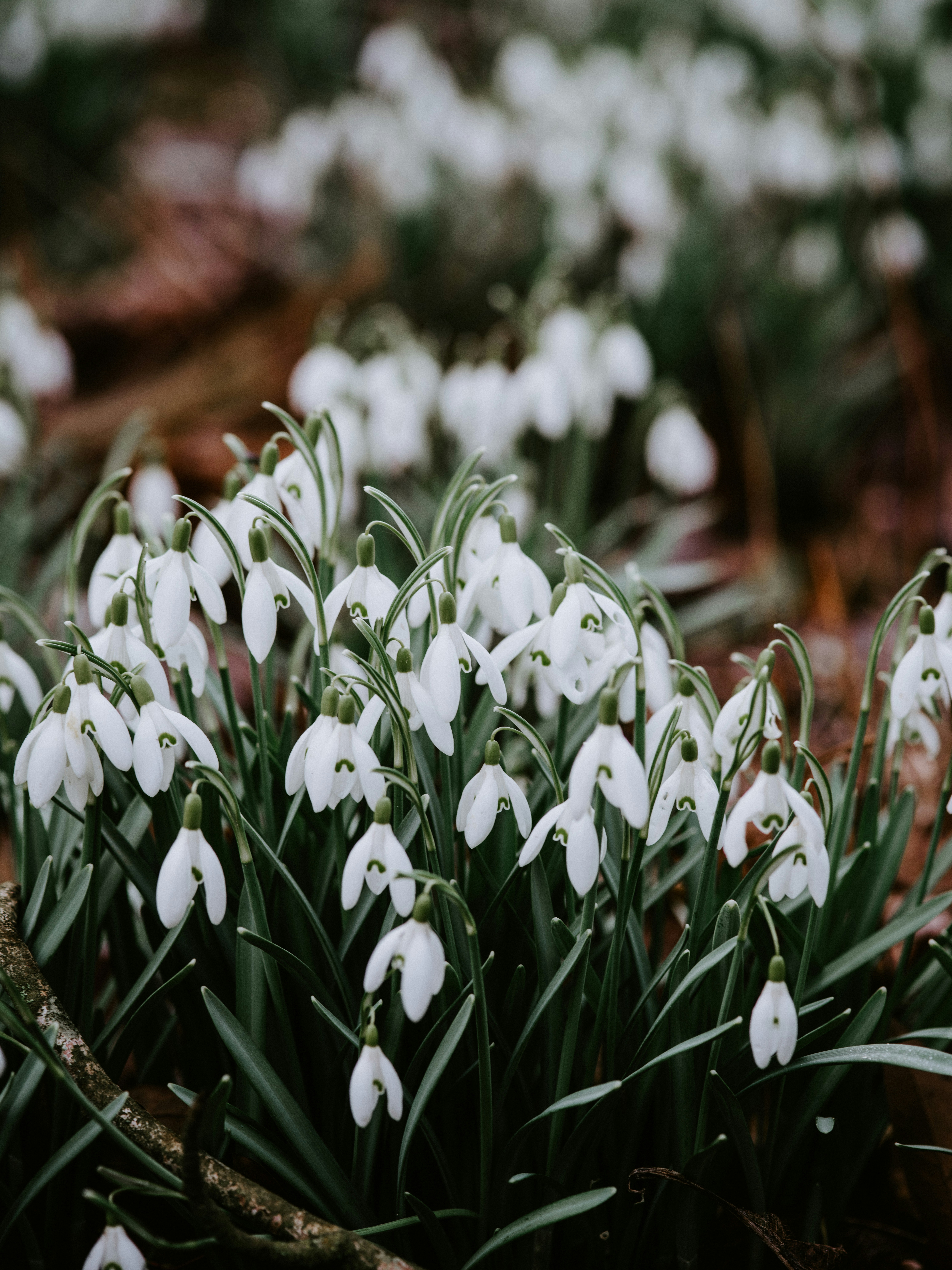 Photo by anniespratt