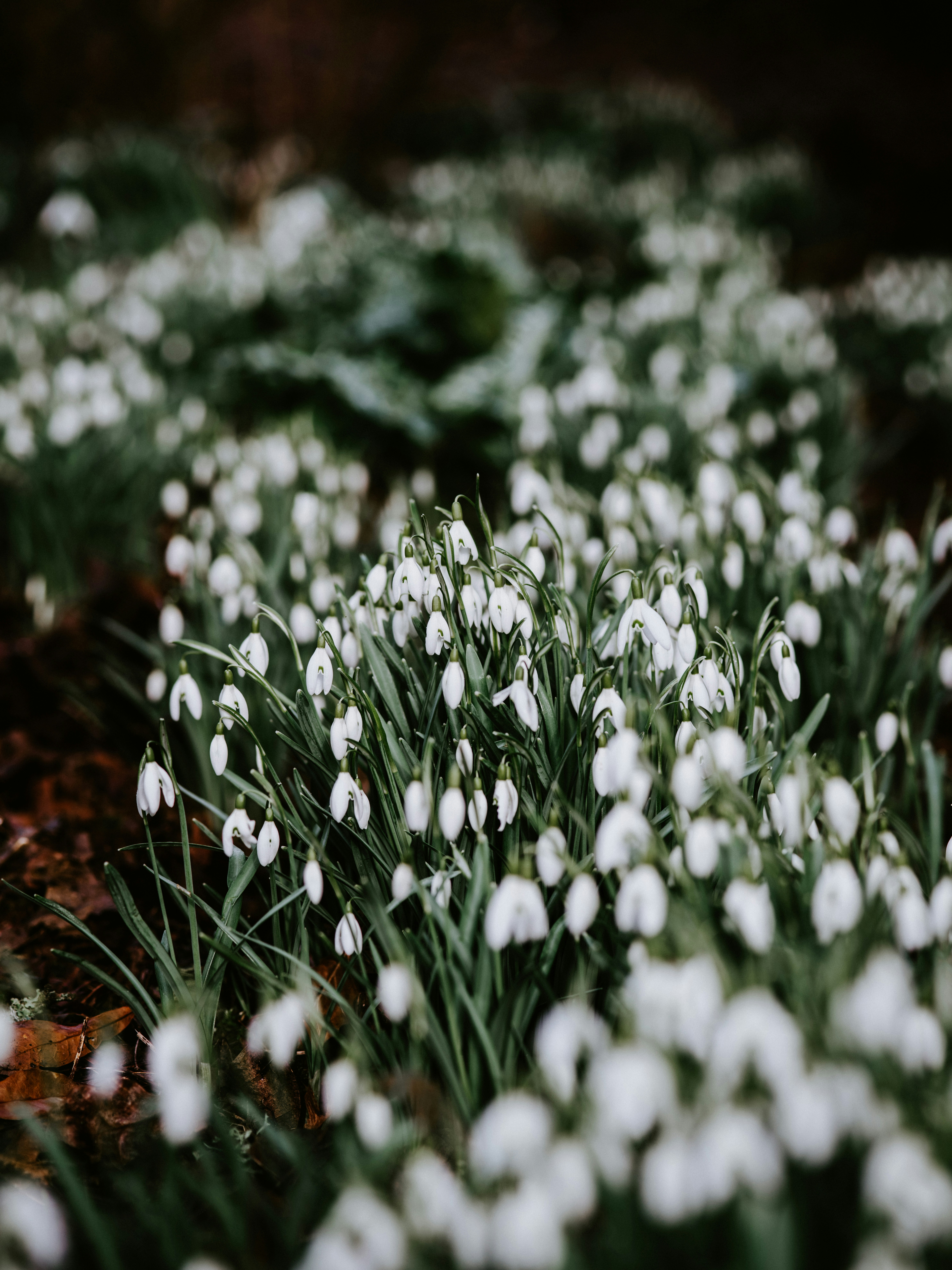 Photo by anniespratt