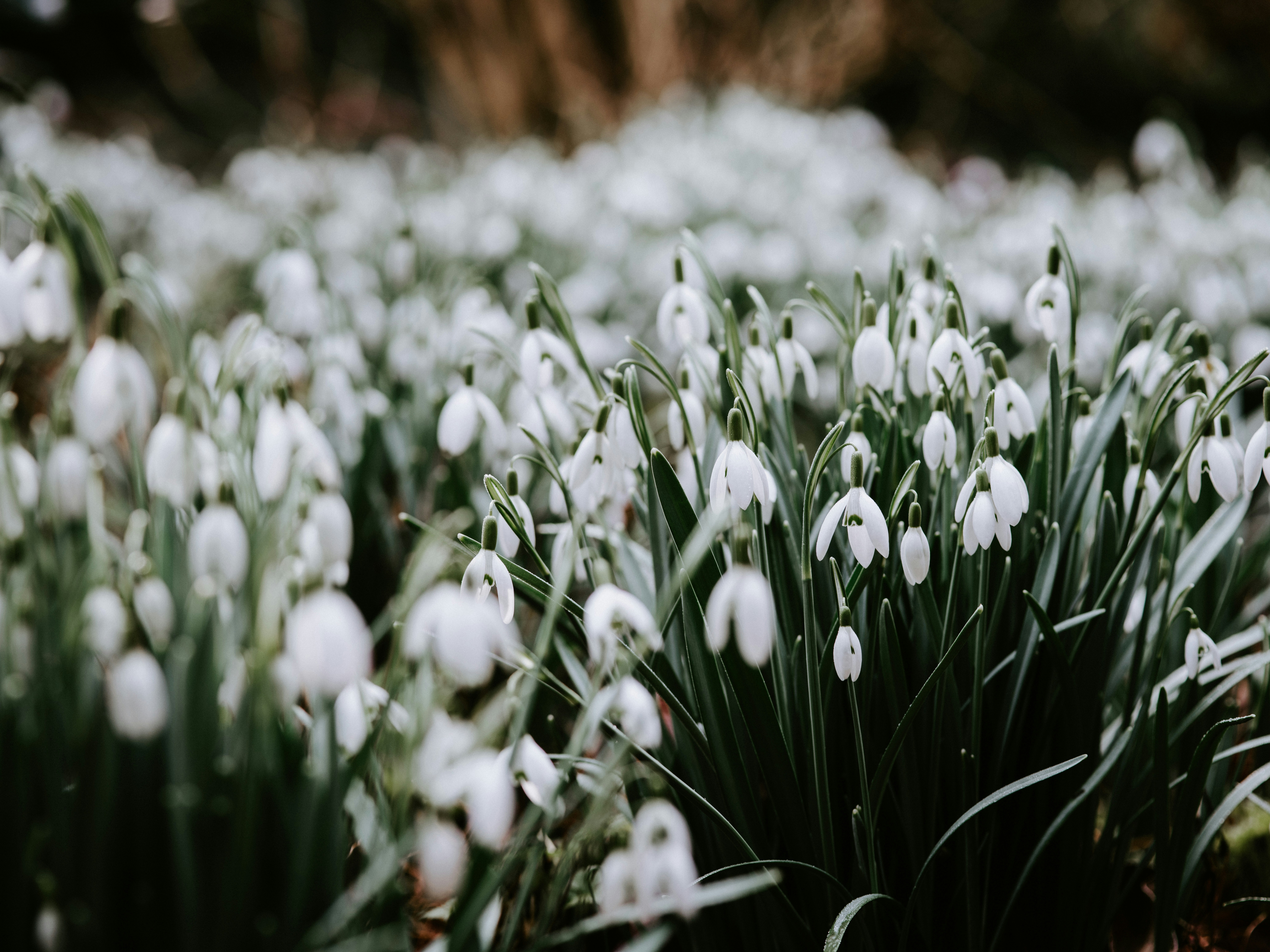 Photo by anniespratt