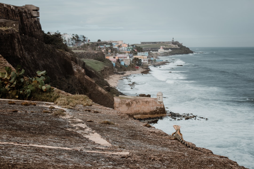 blue sea under white clouds at daytime,