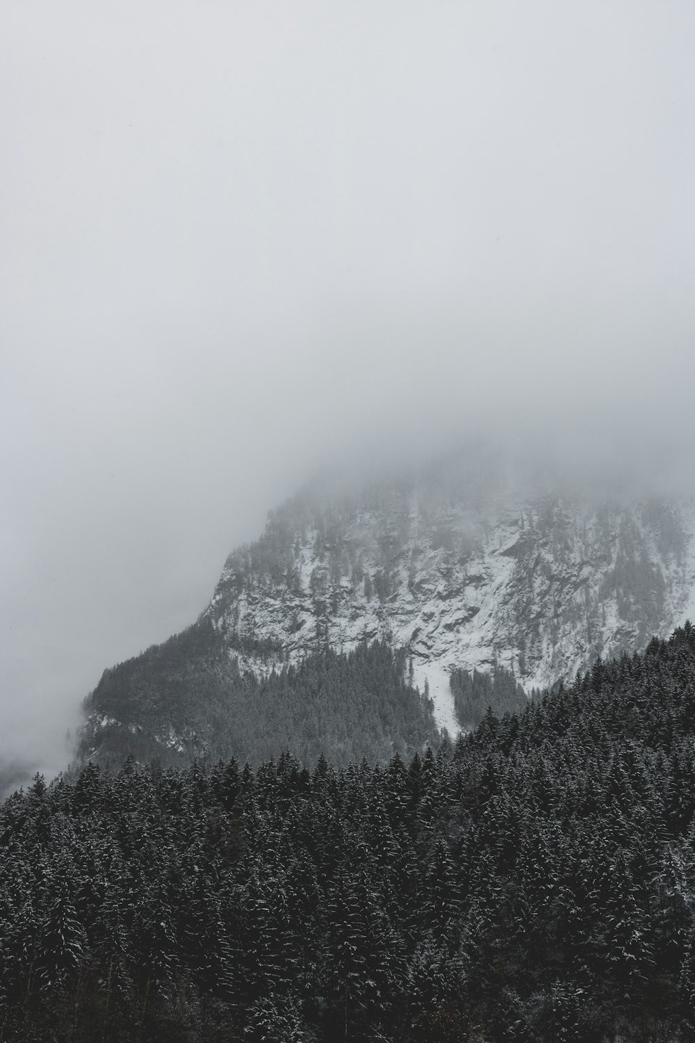 a mountain covered in snow next to a forest